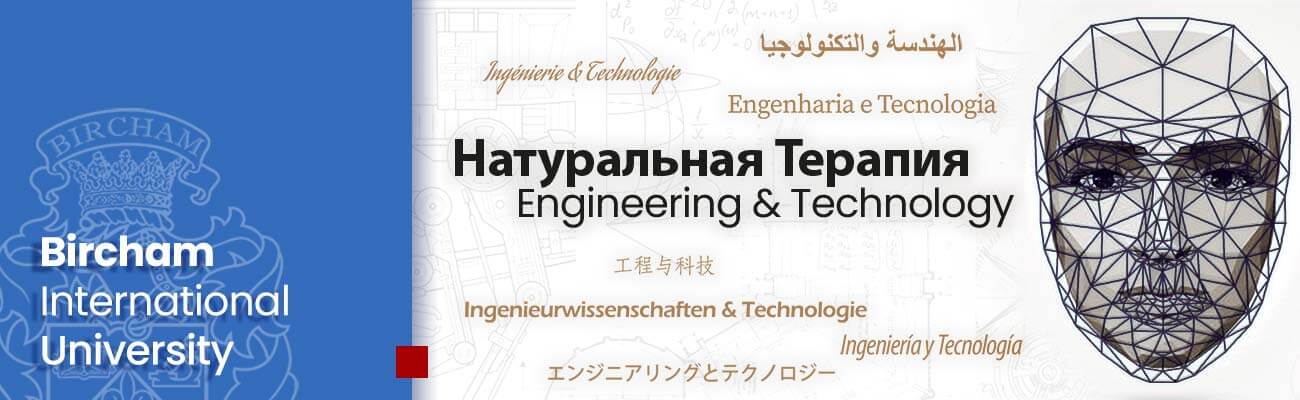 Факультет Инженерия и Технология – BIU дистанционное обучение